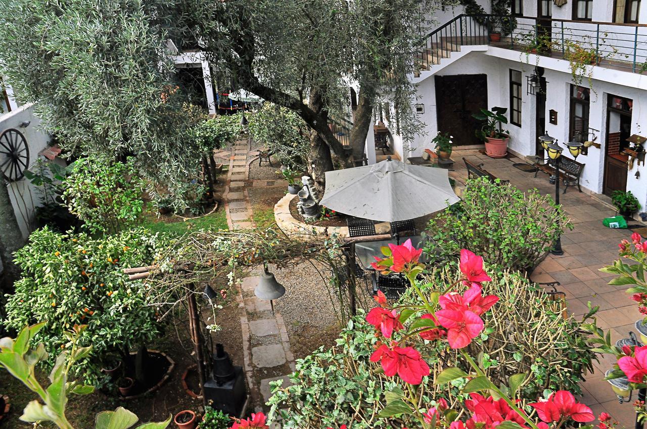 Viejo Olivo B&B Sucre Zewnętrze zdjęcie